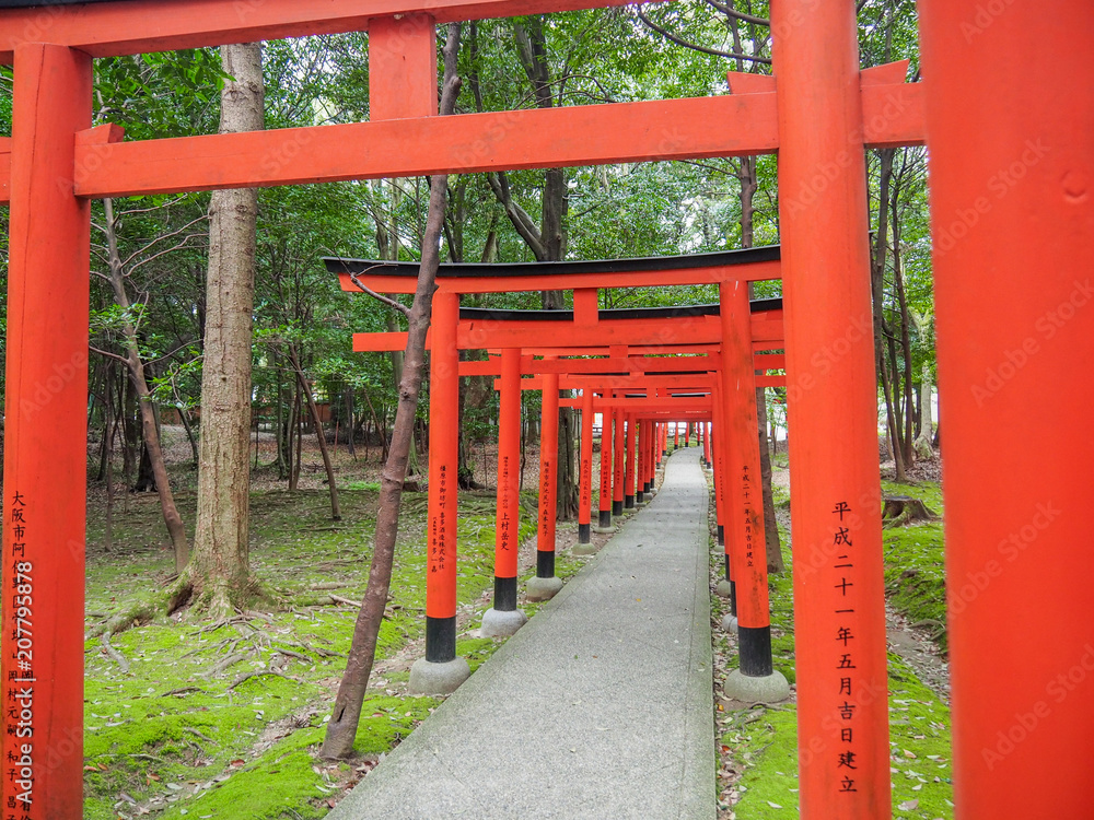 Red Tori Gates of Kashihara shrine Red Tori Gates of Kashihara shrine