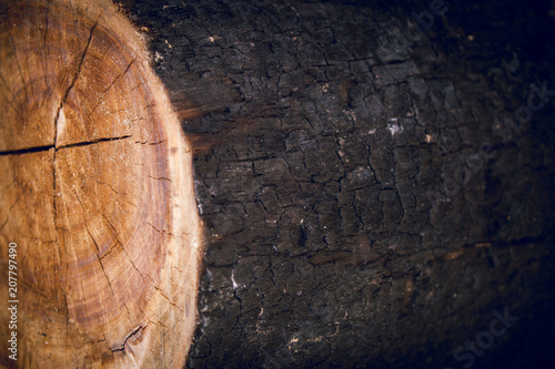 Sho-Sugi-Ban Yakisugi is an ancient Japanese architectural exterior building material.