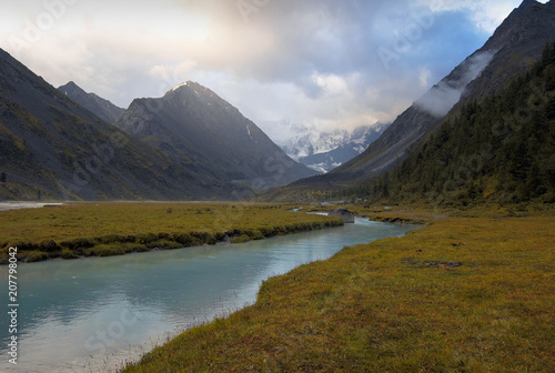 Ak-Kem mountain river with yellow grassy banks.  Altai  Russia
