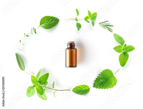 Collection of fresh herbal sage, rosemary, oregano, thyme, lemon balm spearmint and peppermint setup with flat lay on white background