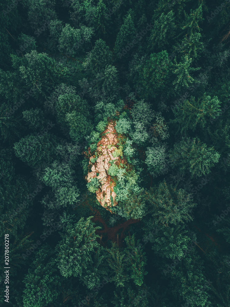 Φωτογραφία Wandern im Wald, wanderfolk, wanderschuhe am Felsen, Drohne Aufnahme von oben Kr