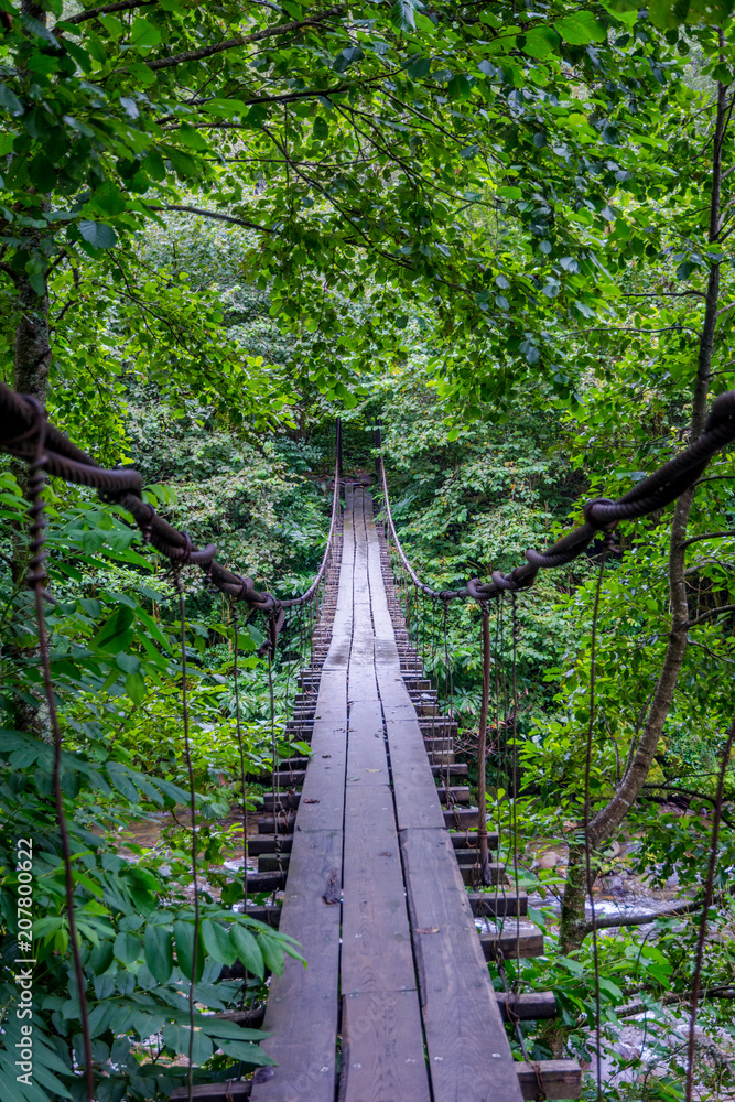 Fototapeta premium Hanging bridge over the river