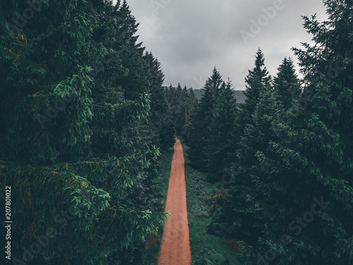 Spazieren im Wald, Waldweg im Tannenwald dunkelgrün, Nationalpark Harz, © kenopictures