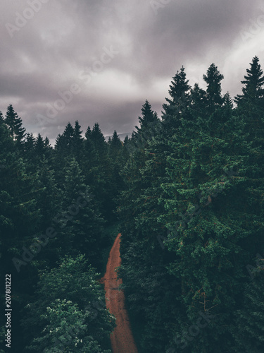 Spazieren im Wald, Waldweg im Tannenwald dunkelgrün, Nationalpark Harz, © kenopictures
