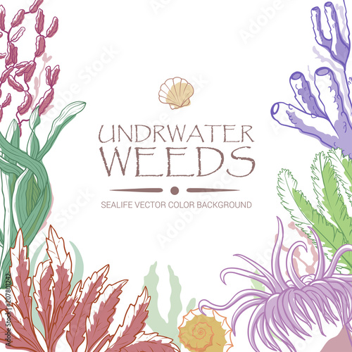 Underwater weeds color background
