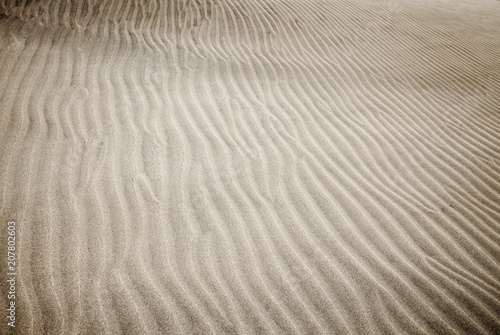 sand and wind pattern 