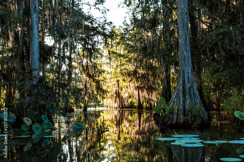 Inside The Bayou photo