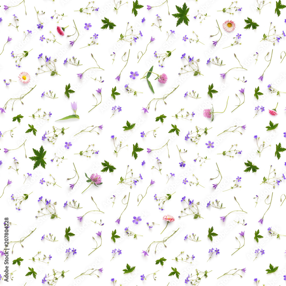 Creative flat layout of wildflowers, composition top view.