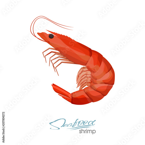 Shrimp vector illustration in cartoon style isolated on white background. Seafood product design. Creature floating in water. Inhabitant wildlife of underwater world. Vector illustration