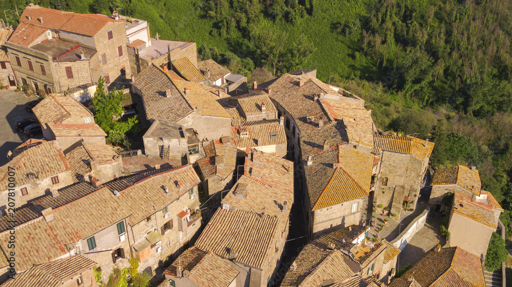Aerial view of red tiled roofs of old village houses. The village overlooks a green valley with trees and plants. The houses are ancient and the whole city is in medieval style.