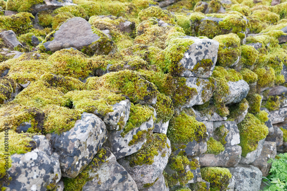 Traditional stone wall covered with moss at Borgholm on the island Oland, Sweden