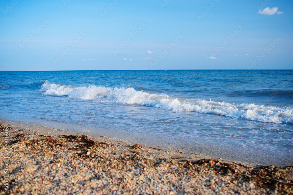 a wild beach and a pigeon sea water on a lovely sunny day a wild beach and a pigeon sea water on a lovely sunny day