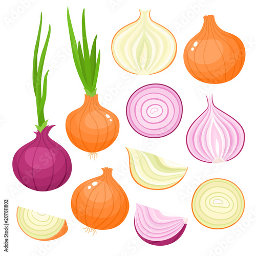 Murais de parede Vector set of cartoon red, yellow onion isolated on white
