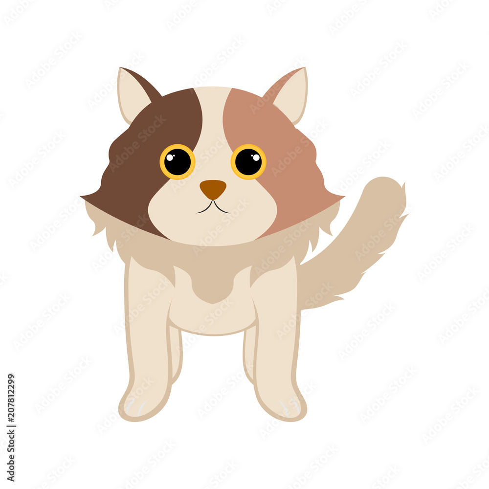 Isolated cute cat Isolated cute cat