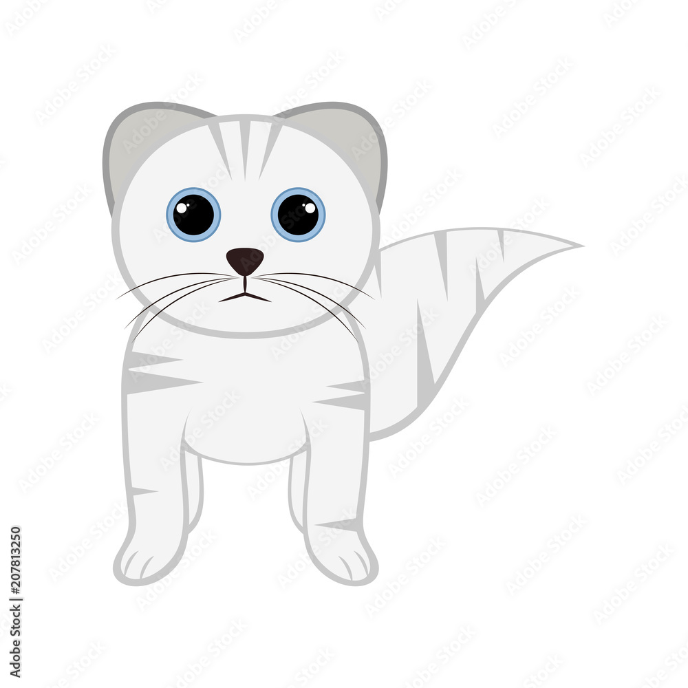 Obraz premium Isolated cute cat