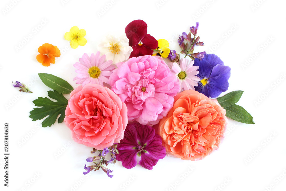 Feminine floral composition. Bouquet of edible wild and garden flowers and herbs. Old roses, sage, pansy, daisy, mallow and geranium blooms and leaves. Flat lay, top view.