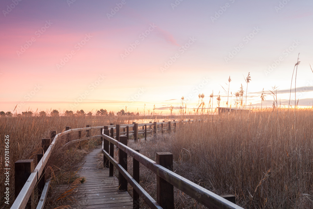 Holzsteg zu einer Beobachtungshütte für Vogelbeobachtung im Ebro Delta nahe Barcelona am Morgen zu Sonnenaufgang