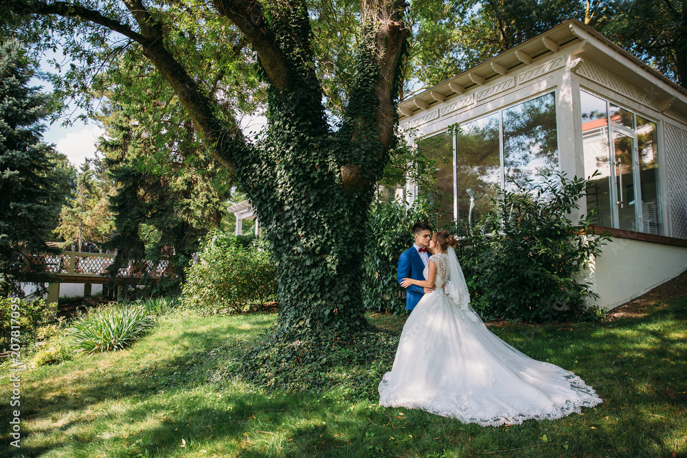 The bride and groom embrace and kiss each other standing under the centuries-old huge oak tree, which overgrew the bushes. The bride and groom embrace and kiss each other standing under the centuries-old huge oak tree, which overgrew the bushes.