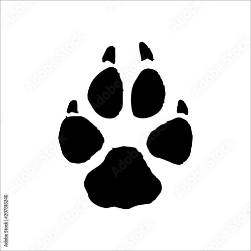 Coyote footprints icon. Vector Illustration