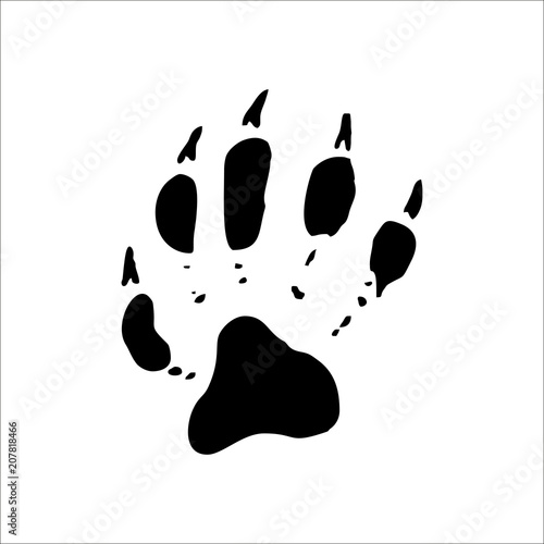 Racoon footprints icon. Vector Illustration