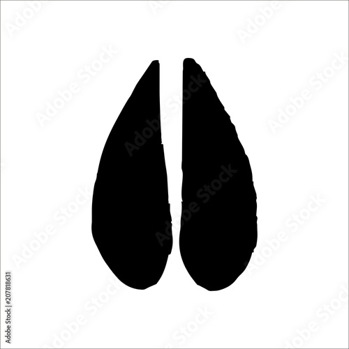 Antelope footprints icon. Vector Illustration
