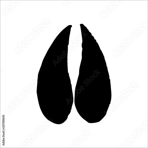 Mule Deer footprints icon. Vector Illustration