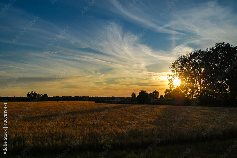 Fototapeta premium Sonnenuntergang bei Weiterstadt