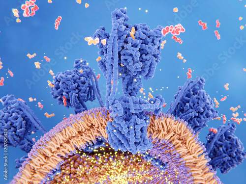 Die ATP-Synthase nützt einen Protonengradienten und produziert ATP in den Mitochondrien. photo