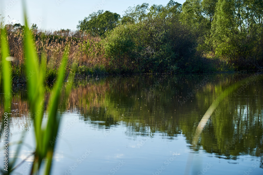 Obraz premium Surface on a small lake