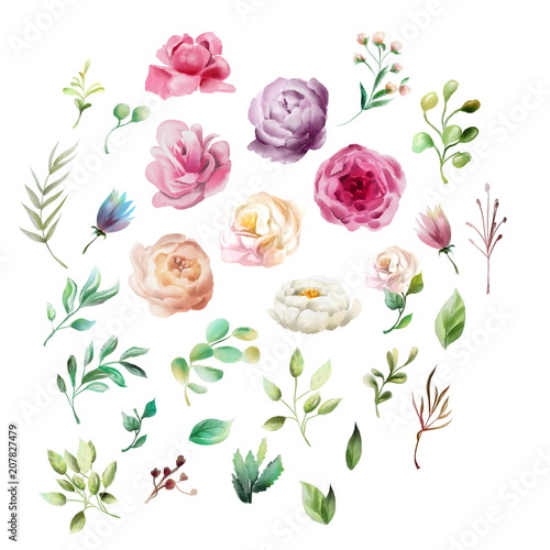 Beautiful, watercolor whimsical flowers. Violet, cream and white peonies, pin...