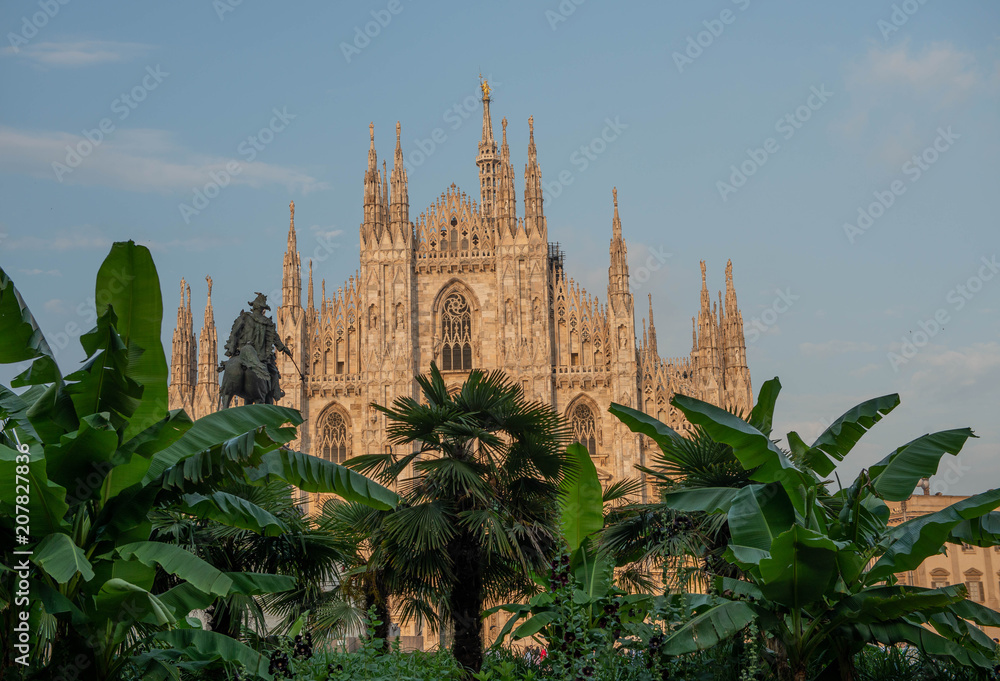 milan square of man with palm god plants milan square of man with palm god plants