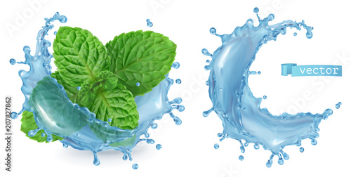 Splash water and mint. 3d realistic vector