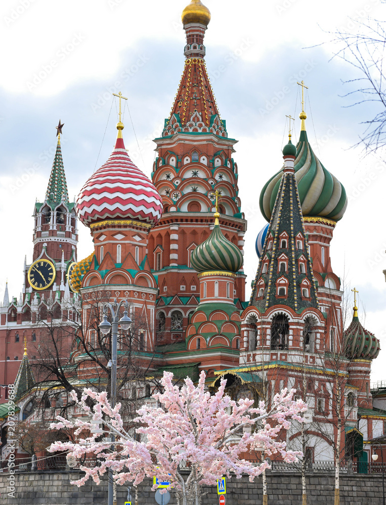Obraz premium St. Basil's Cathedral