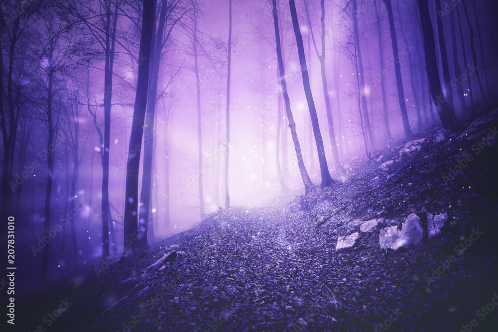 Fantasy pink colored foggy forest landscape with magic firefly lights background. 