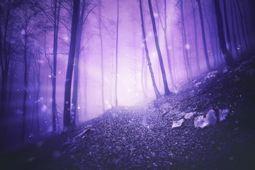 Papier peint photo Prune Fantasy pink colored foggy forest landscape with magic firefly lights background.   © robsonphoto