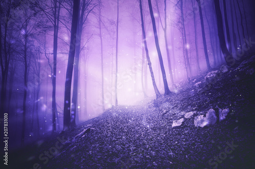 Fantasy pink colored foggy forest landscape with magic firefly lights background. 