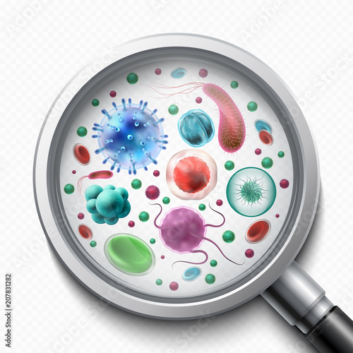 Bacteria cells, microorganisms, viruses and germs. Epidemic science vector concept