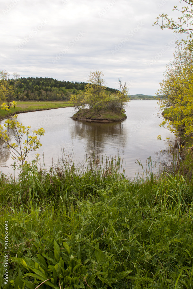 Island in a Stream on a Cloudy Day Island in a Stream on a Cloudy Day