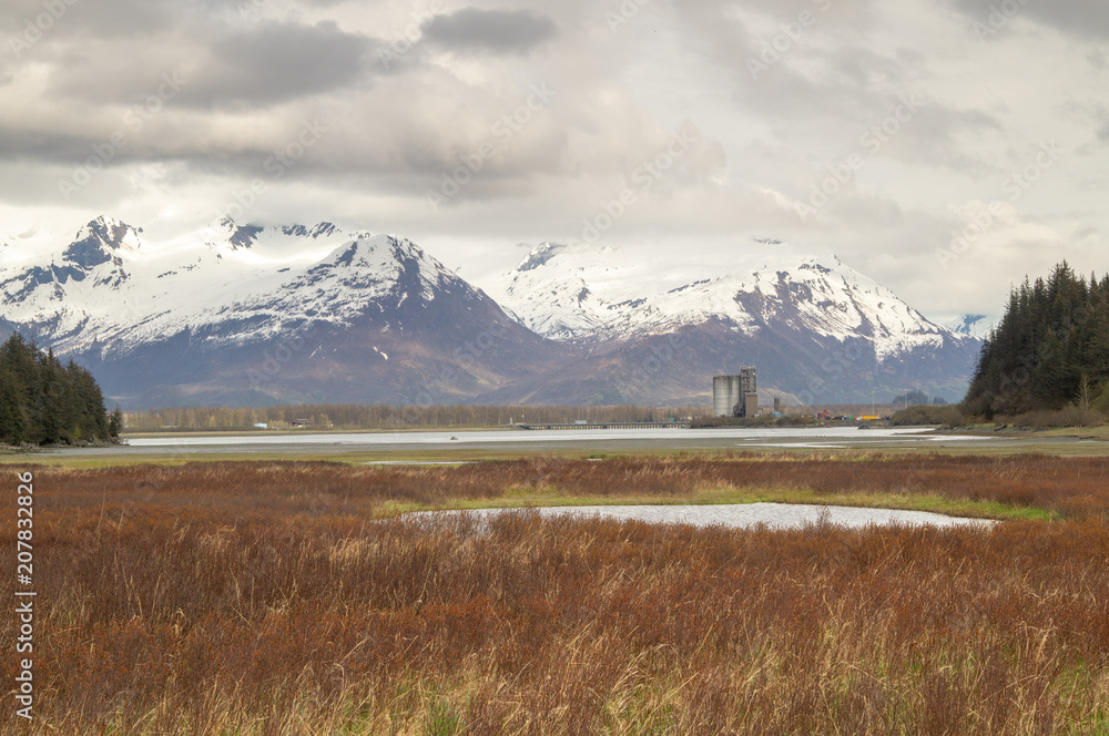 Fototapeta premium wetlands, wetland, marsh, park, water, green, landscape, nature, grass, river, sky, natural, spring, blue, outdoor, scenic, wild, swamp, summer, wet, forest, delta, environmental, 