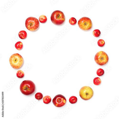 different an apples fruits in the shape of circle isolated on empty white background