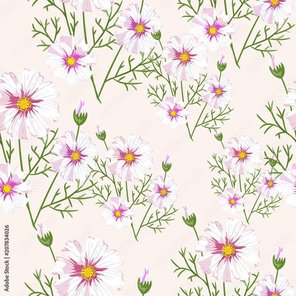 Obraz Wzór z polne kwiaty na białym tle. Słoneczny clor kwiat wektor pole kwiat.