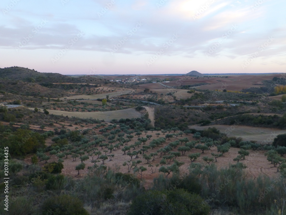 Paisaje  y campo en Copernal, pueblo de Guadalajara en Castilla la Mancha ( España)