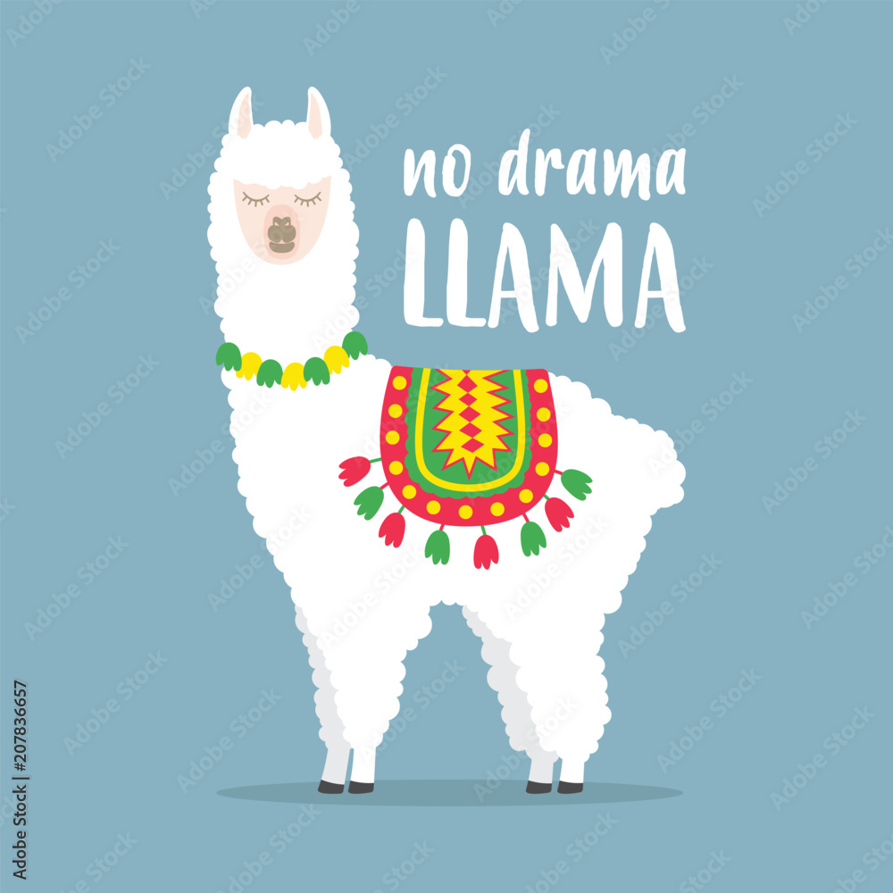 Póster White llama with No drama – Cuadro para