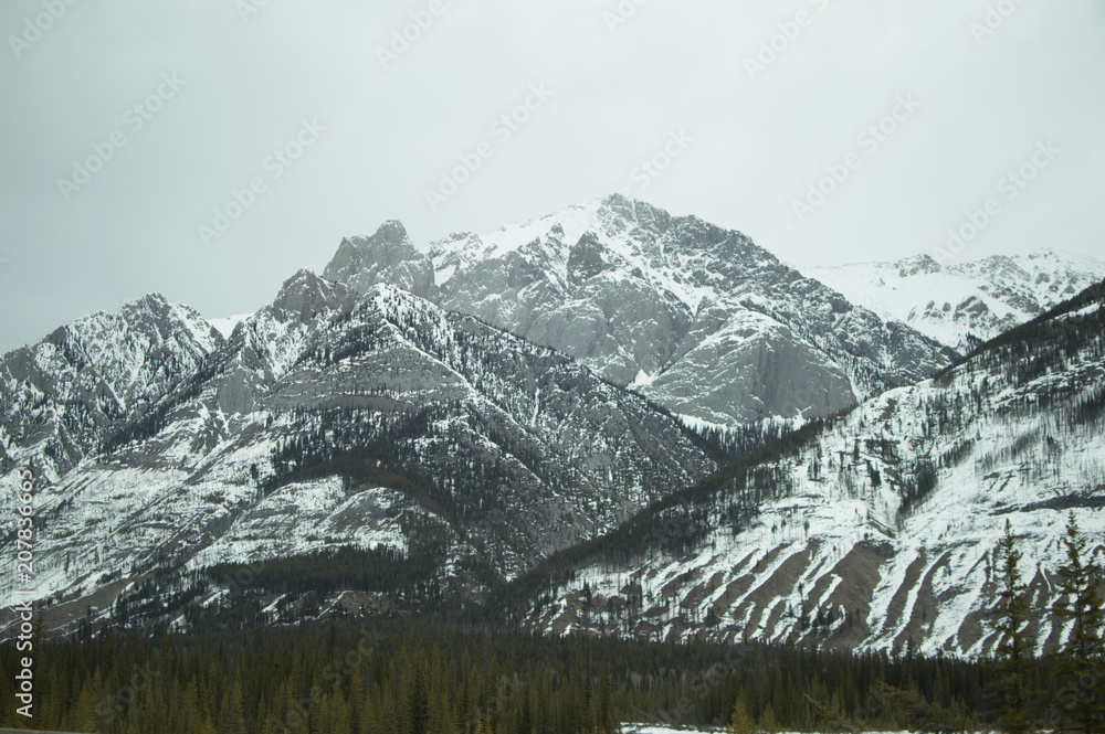 canada canada
