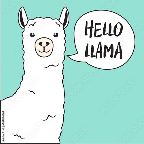 Foto White llama with lettering.