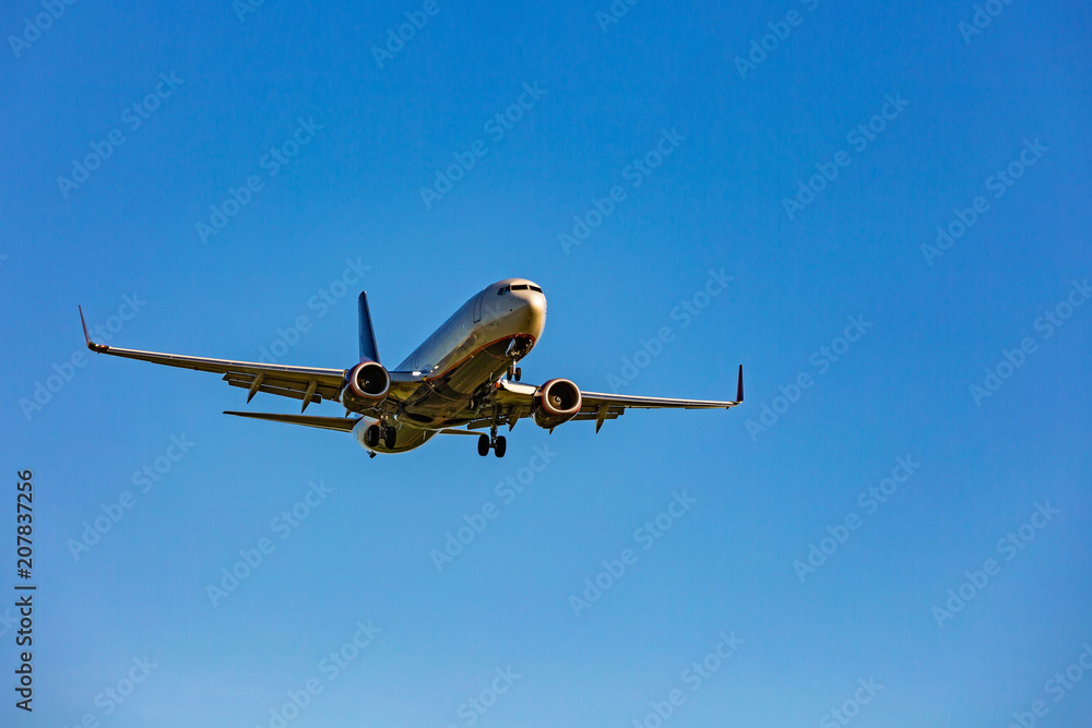 Fototapeta premium Large passenger plane flying in the blue sky