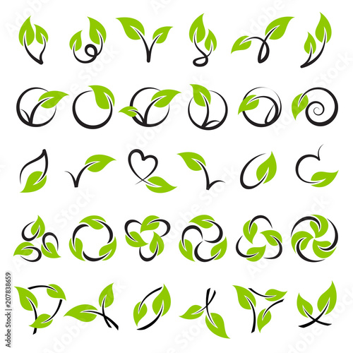 Leaves. Elements for design. Vector logo templates or icons set