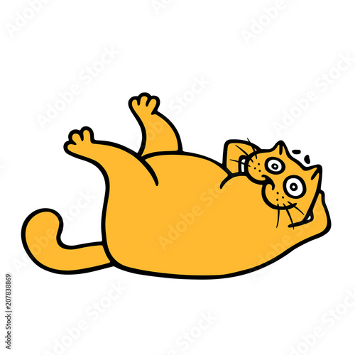 Cute fat orange cat engaged aerobics. Vector illustration