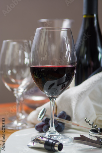 Professional red wine tasting event with high quality wine glasses and wine accessories