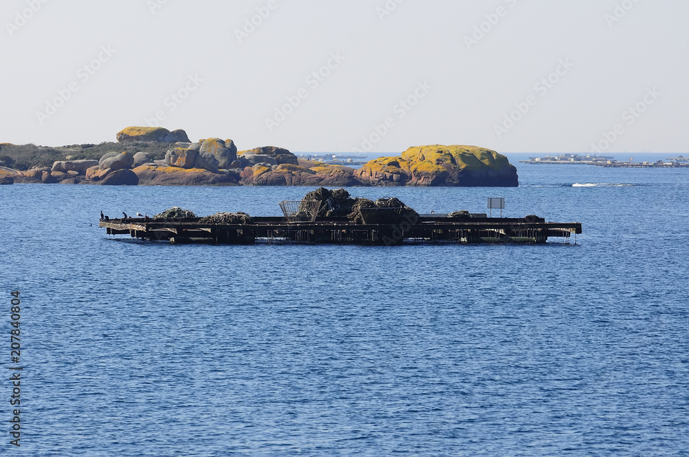 punt for mussel culture